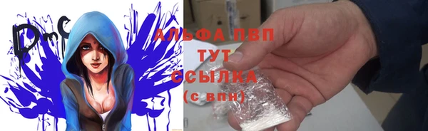 винт Инсар