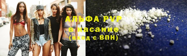 винт Инсар