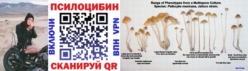 Галлюциногенные грибы Cubensis  Калачинск 